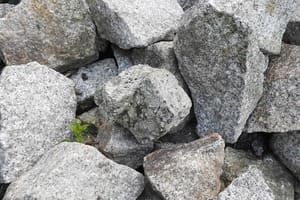 Nos conseils pour débarrasser les gravats