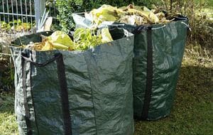 Les déchets verts posent encore problème en termes d'écologie