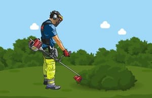 Attention quand vous entretenez votre jardin : n'utilisez pas de pesticides !
