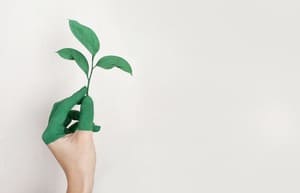 Plusieurs fausses idées freinent la progression d'un mode de vie plus vert