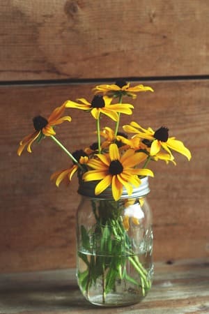 Vos fleurs dans d'anciens bocaux à bougie