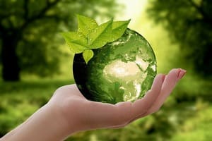 Incitez au recyclage et expliquez les consignes de tri