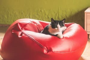 Un joli pouf pour le coin détente