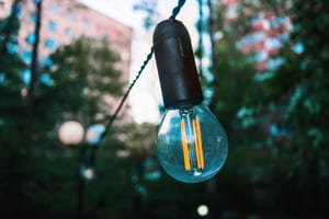Des plantes dans vos vieilles ampoules
