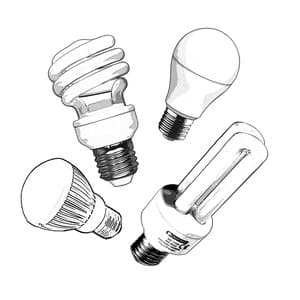 Presque toutes les ampoules commercialisées sont recyclables
