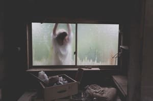 Nous désencombrons ou vidons les maisons en respectant les consignes de chaque client