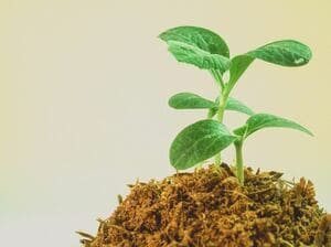 Nous travaillons dans le respect de valeurs écologiques et solidaires