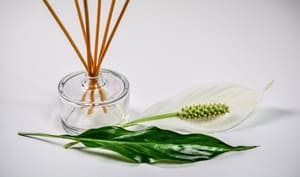 Plusieurs solutions pour prendre soin de l'air intérieur