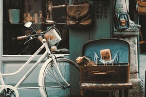 On croise toujours plus de vélos anciens dans les villes