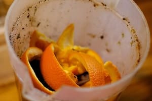 Tout le monde peut se mettre au compost